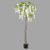 Csavart törzsű, fehér színű mű lilaakác fa.